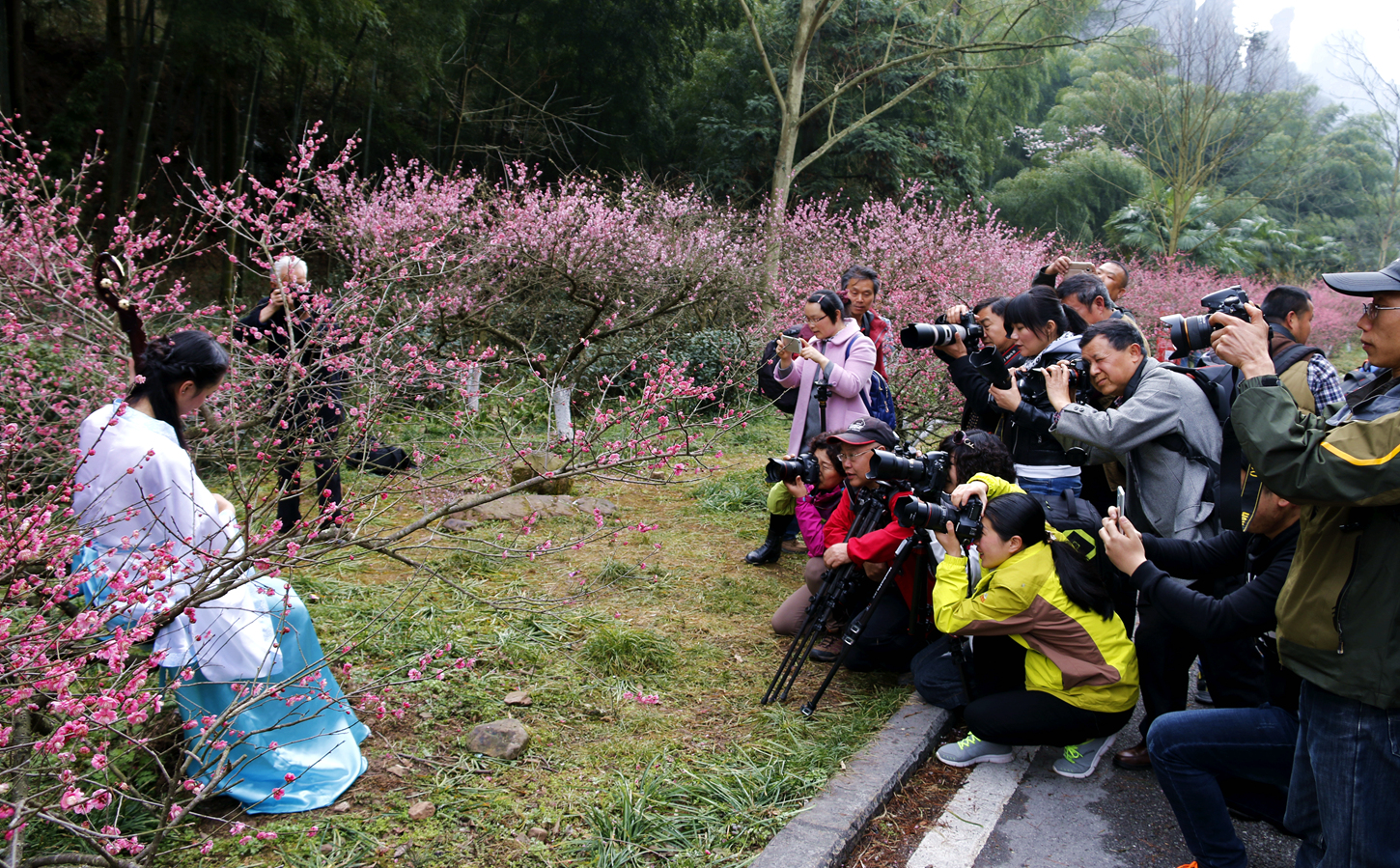 《赏梅》别样风景