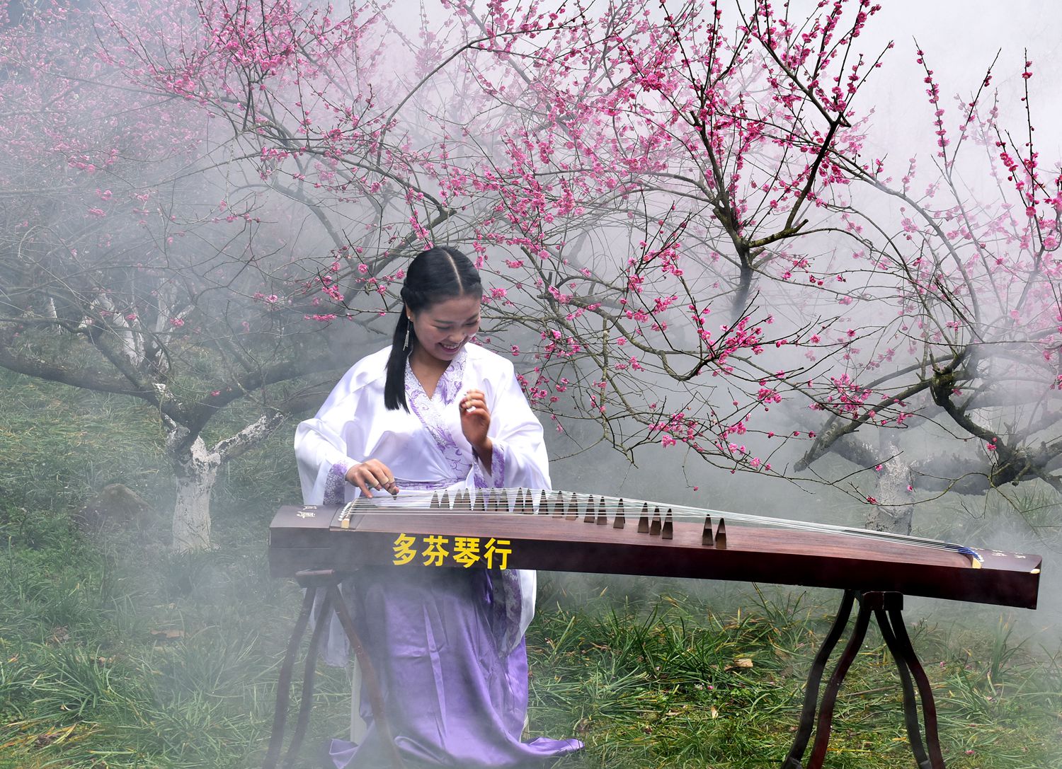 佳人抚琴颂梅花