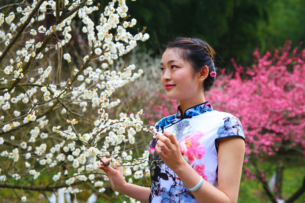 赏梅２