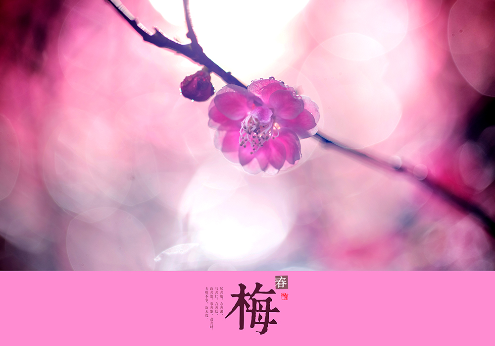 放