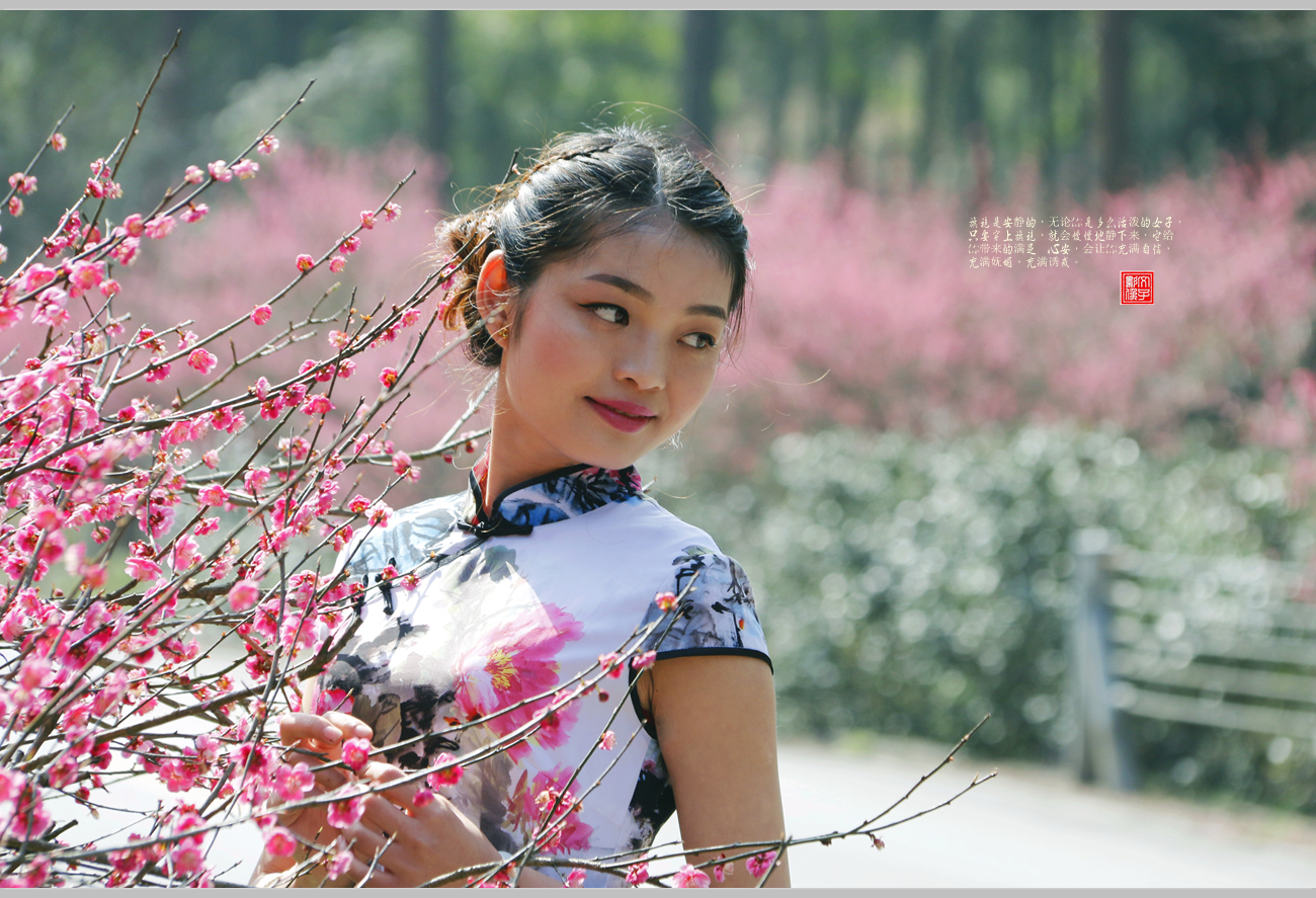 梅花.旗袍佳人