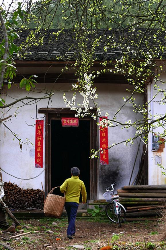 春暖花开古村行