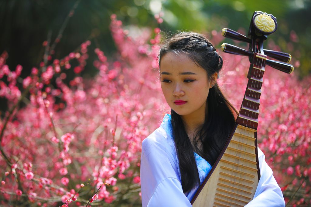 琴与美女四