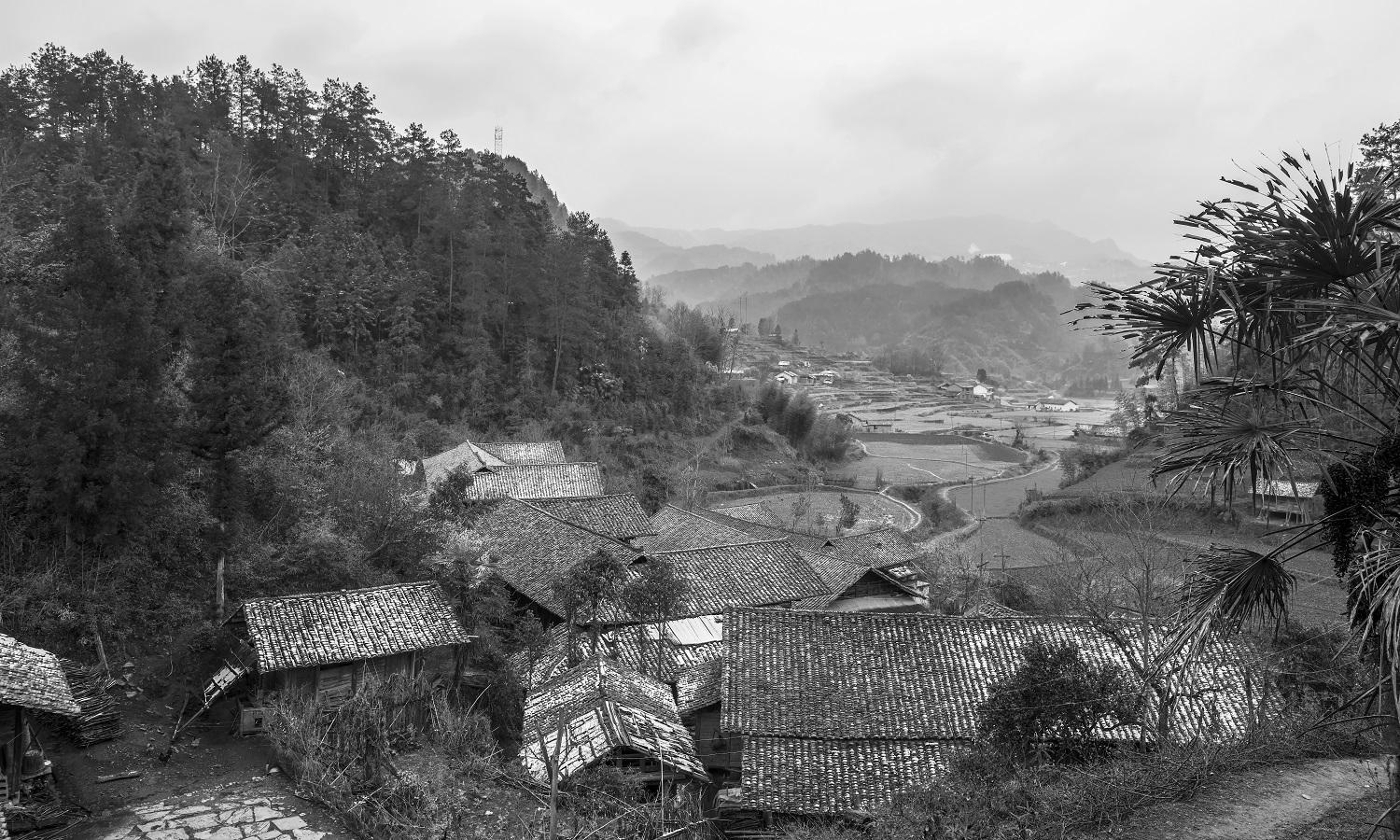 小村春雪