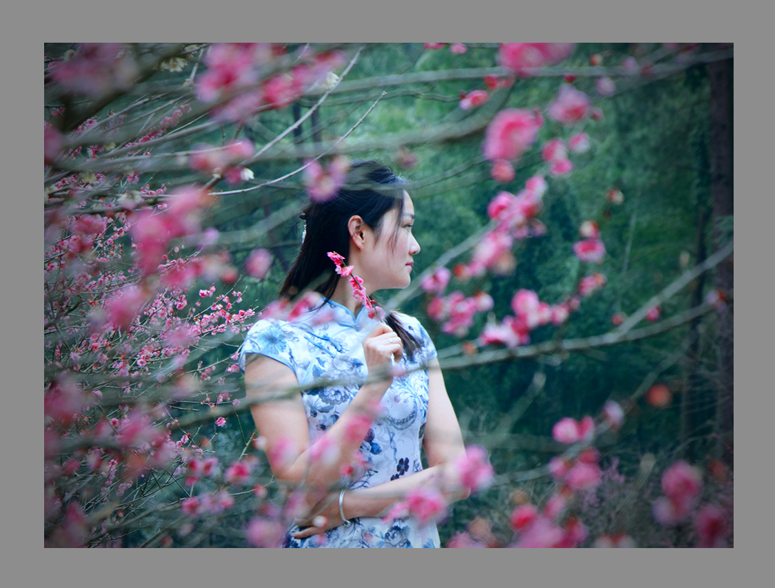 梅花三弄（回眸）