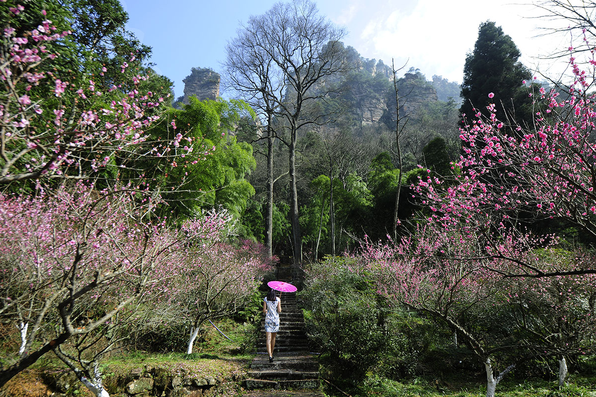 春染黄石寨