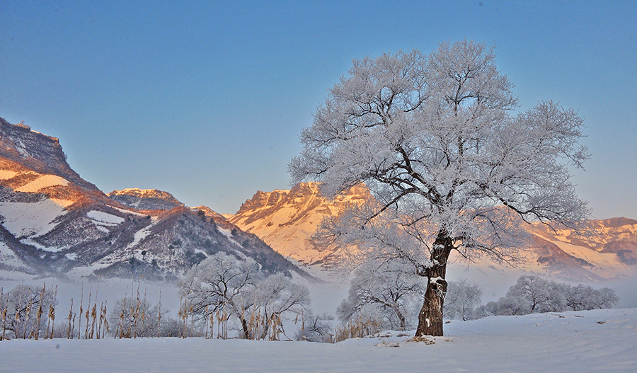 鸭绿江百里画廊