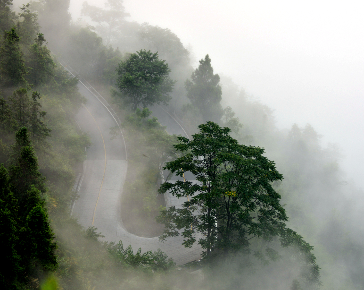 山路弯弯