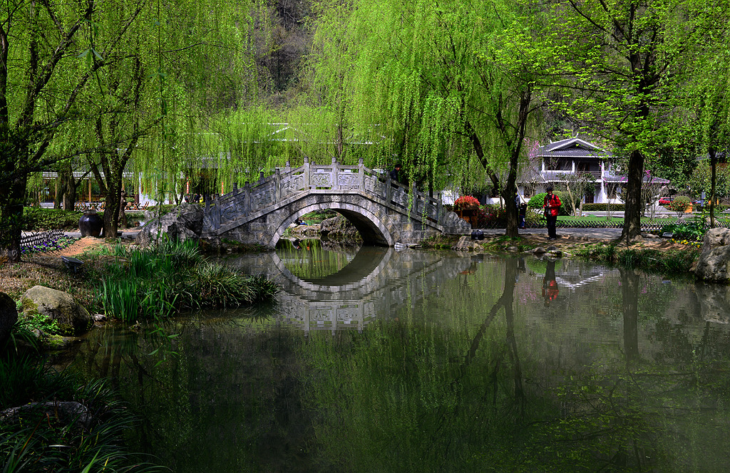 春来了