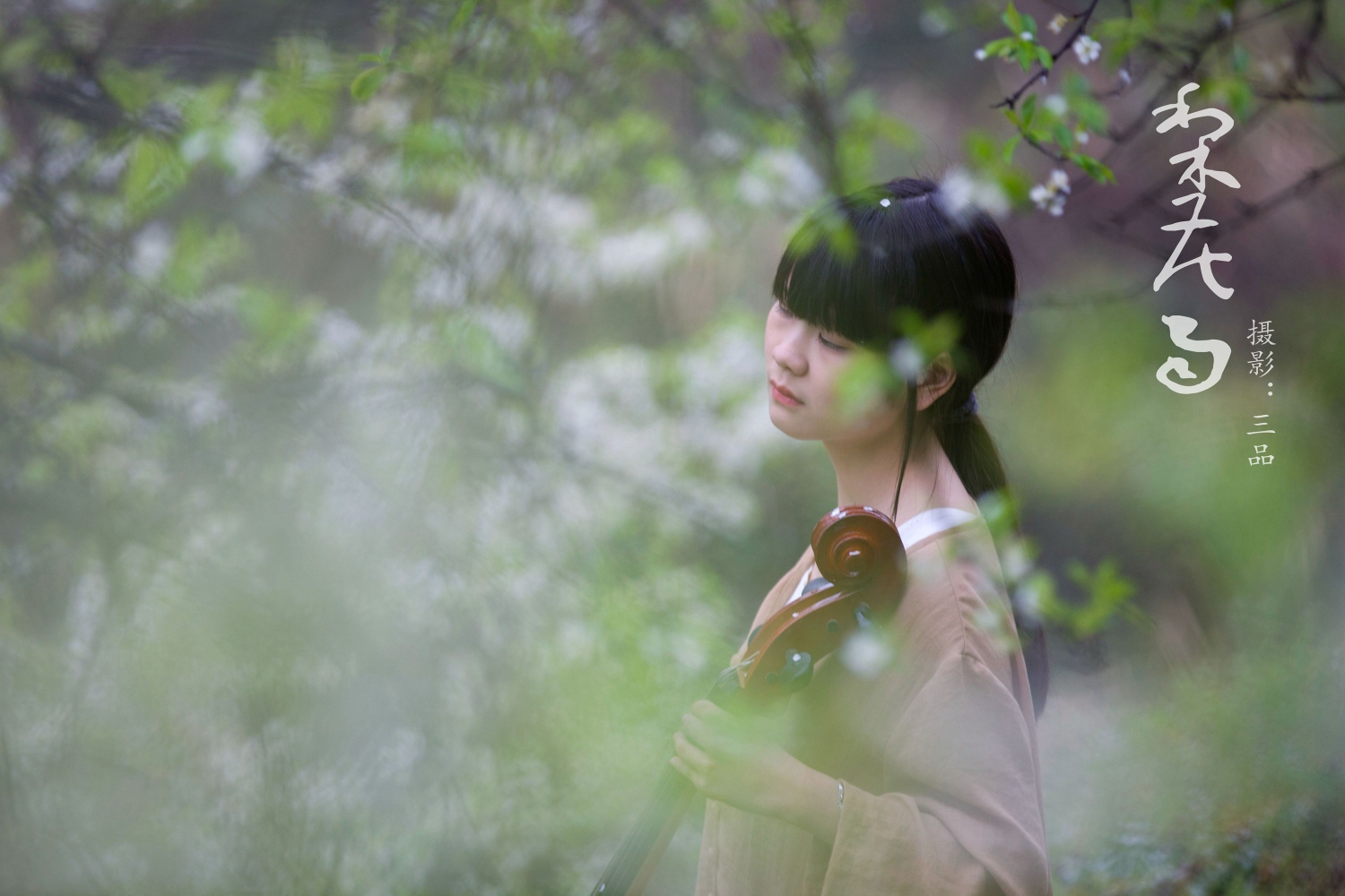 梨花雨3