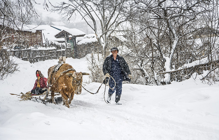 雪村正月