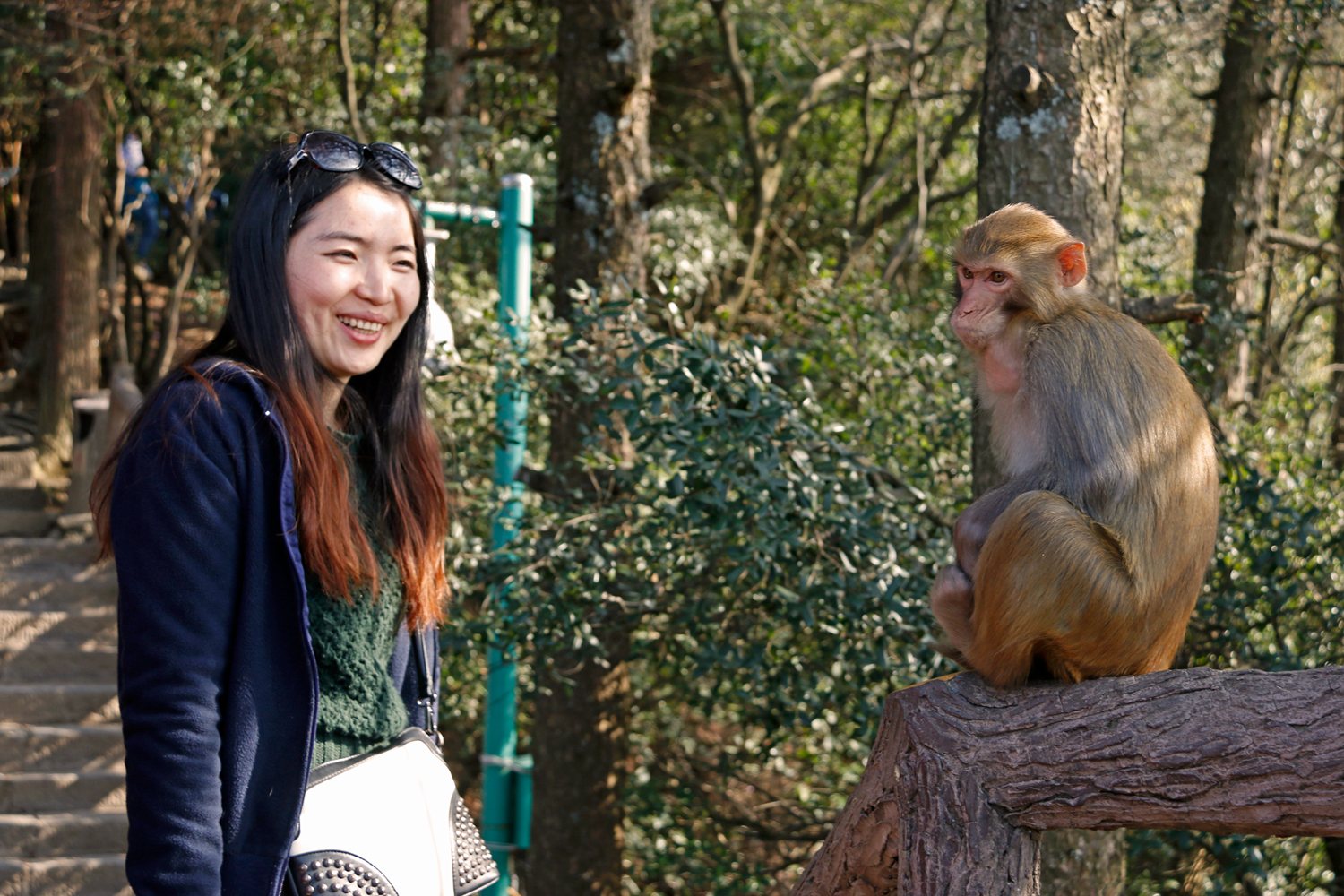 我和猴王合个影