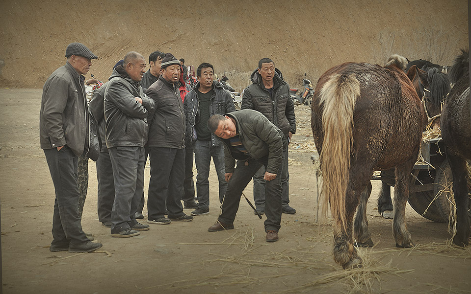 伯乐识马