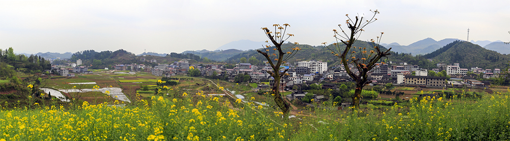 田园风光-家乡1