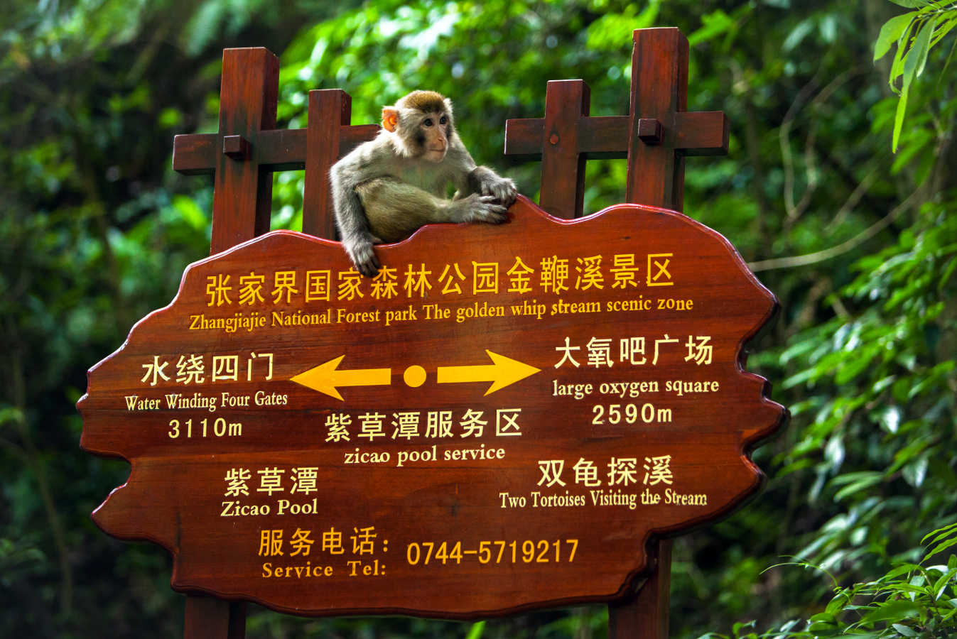 我的地盘我做主