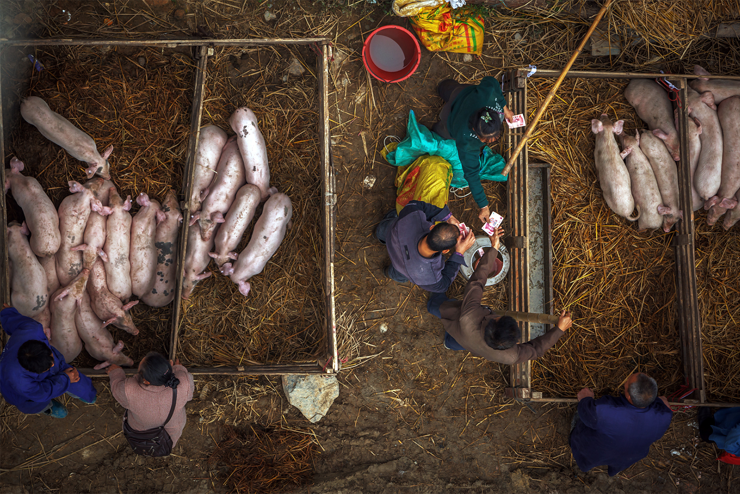 金窝银窝  不如家里猪窝