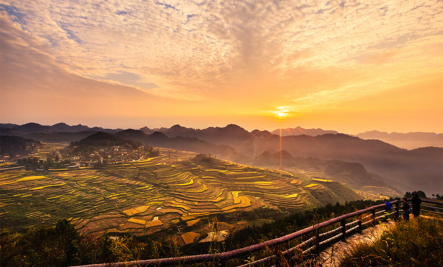 高要梯田