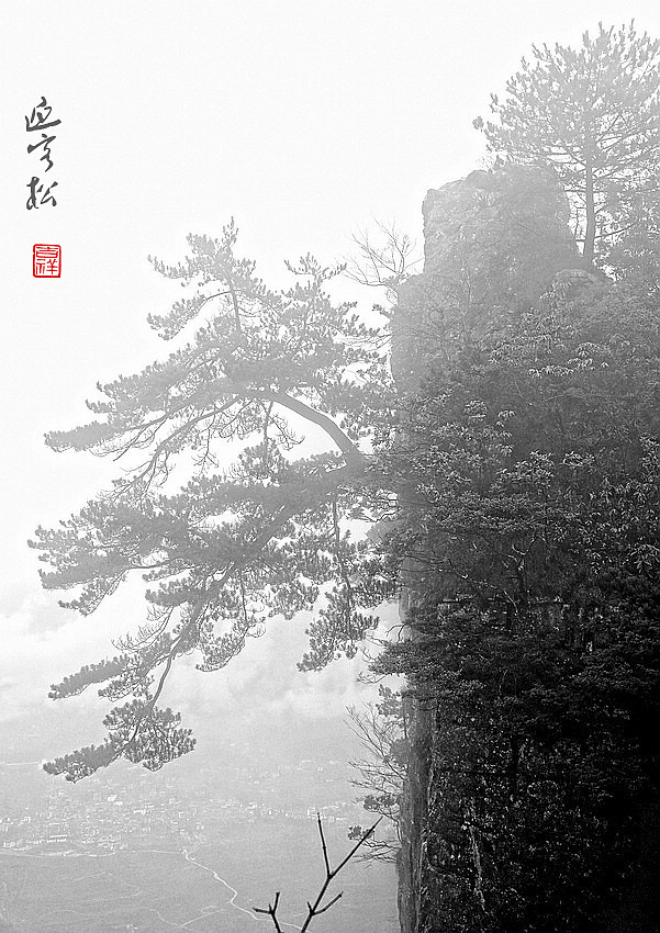 迎客松