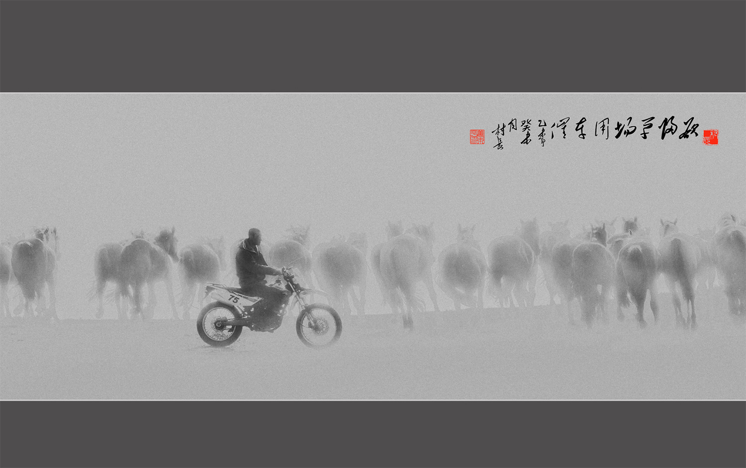 记意中的坝上军马场