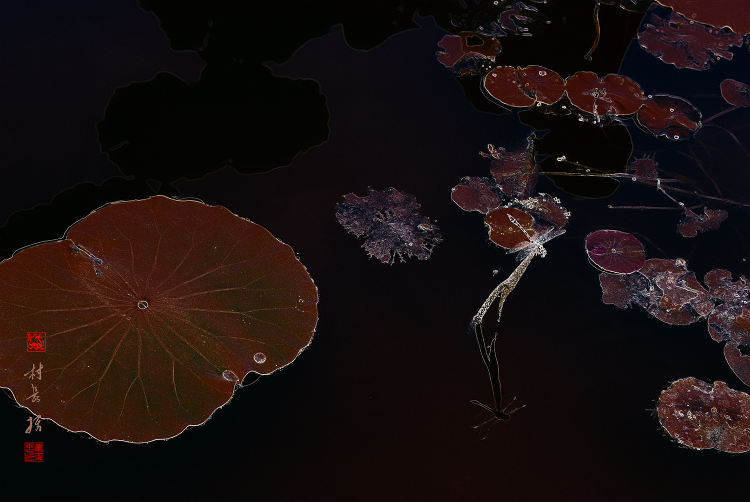 小荷才露尖尖角