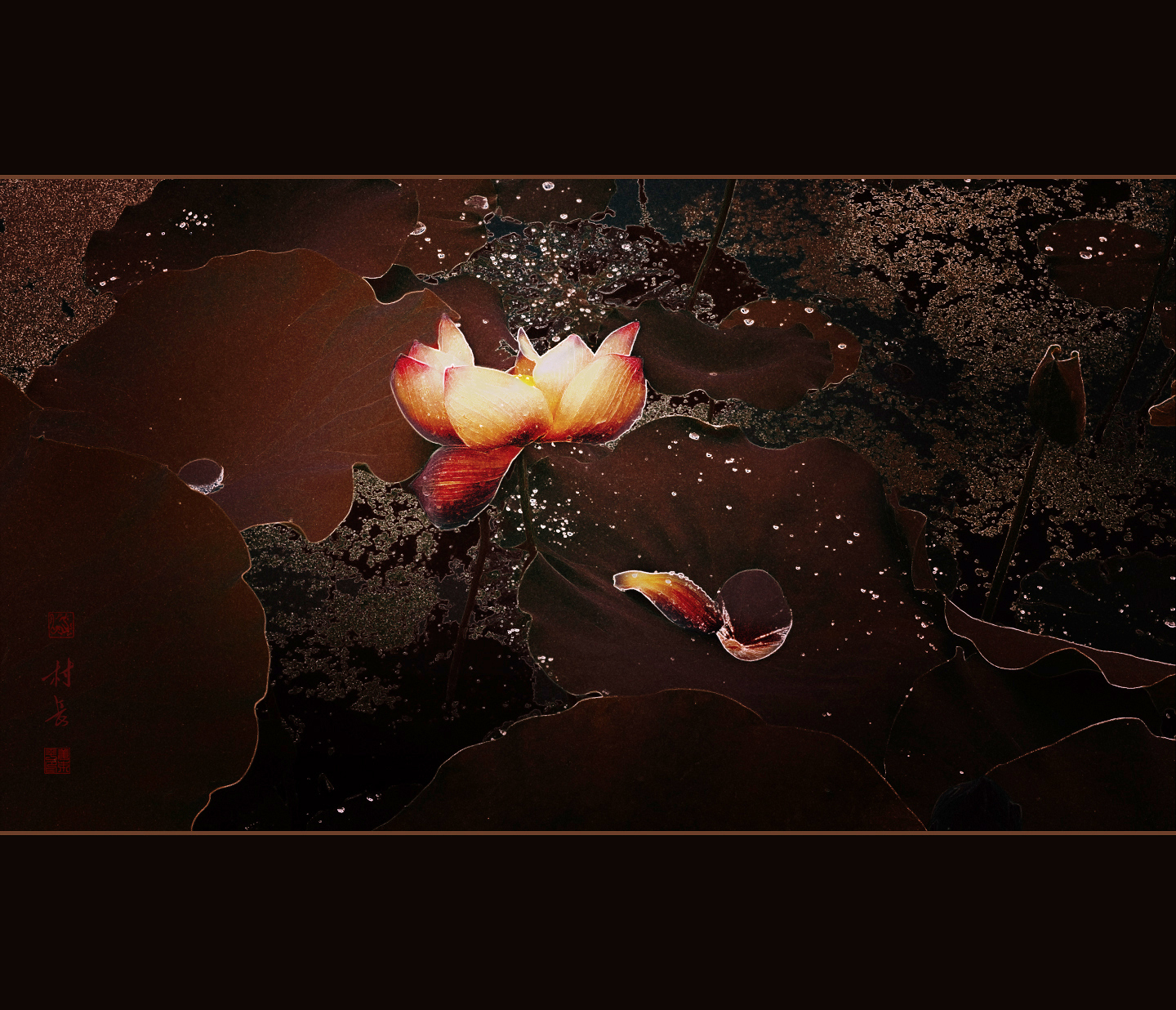 手机片创意——荷韵