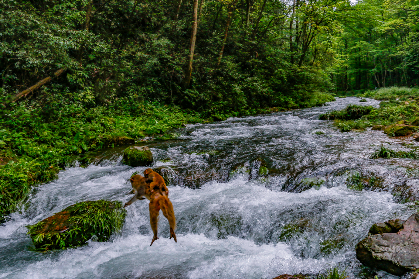 母背孩子过小溪