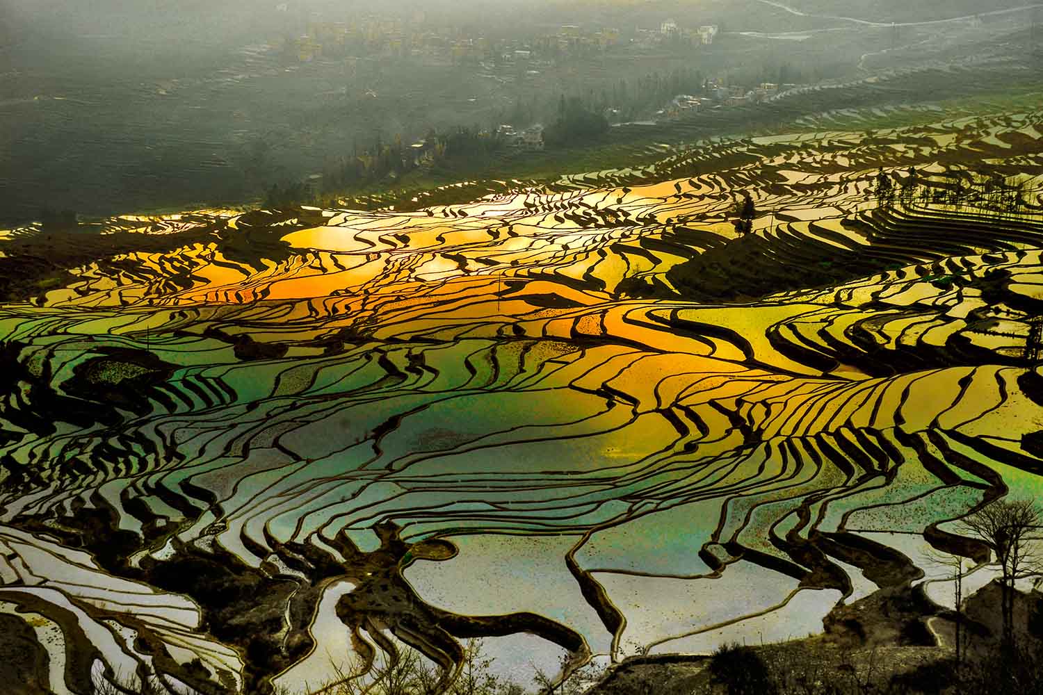 元阳梯田