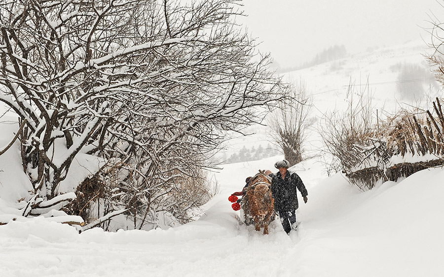 瑞雪兆丰年