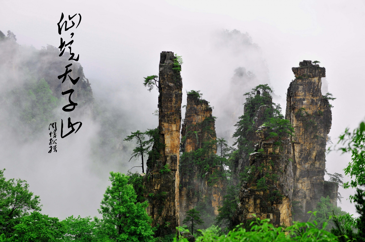 仙境天子山