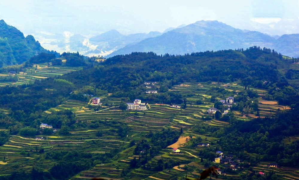 山村梯田B
