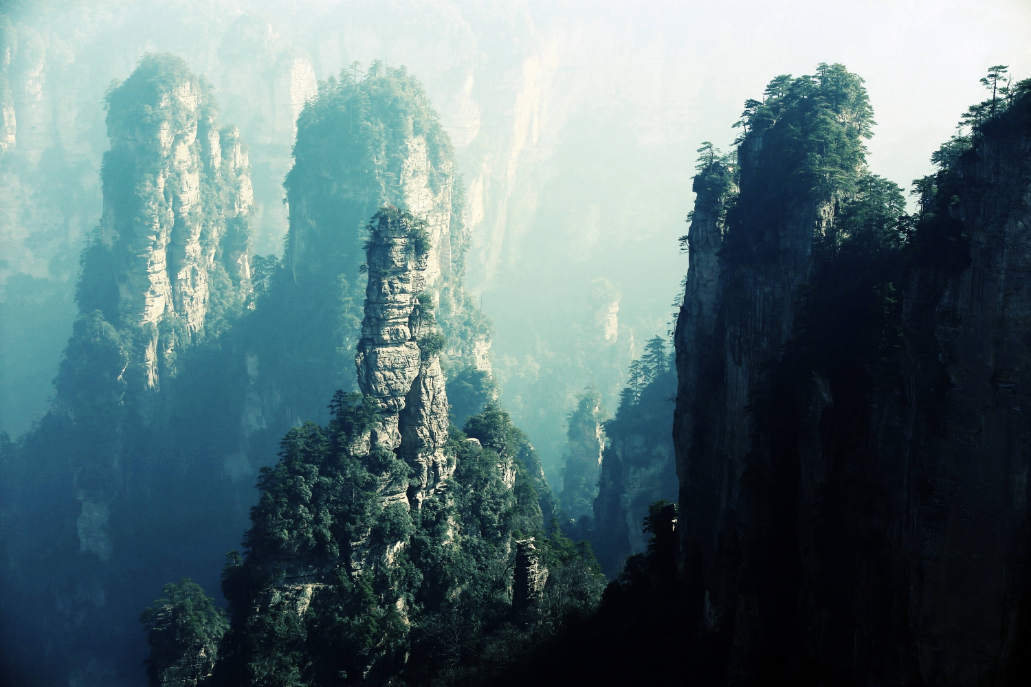山色葱葱