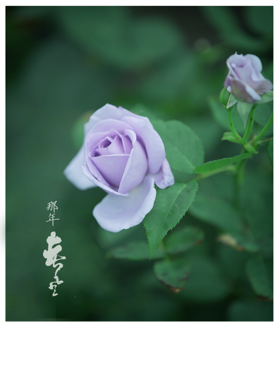 无题
