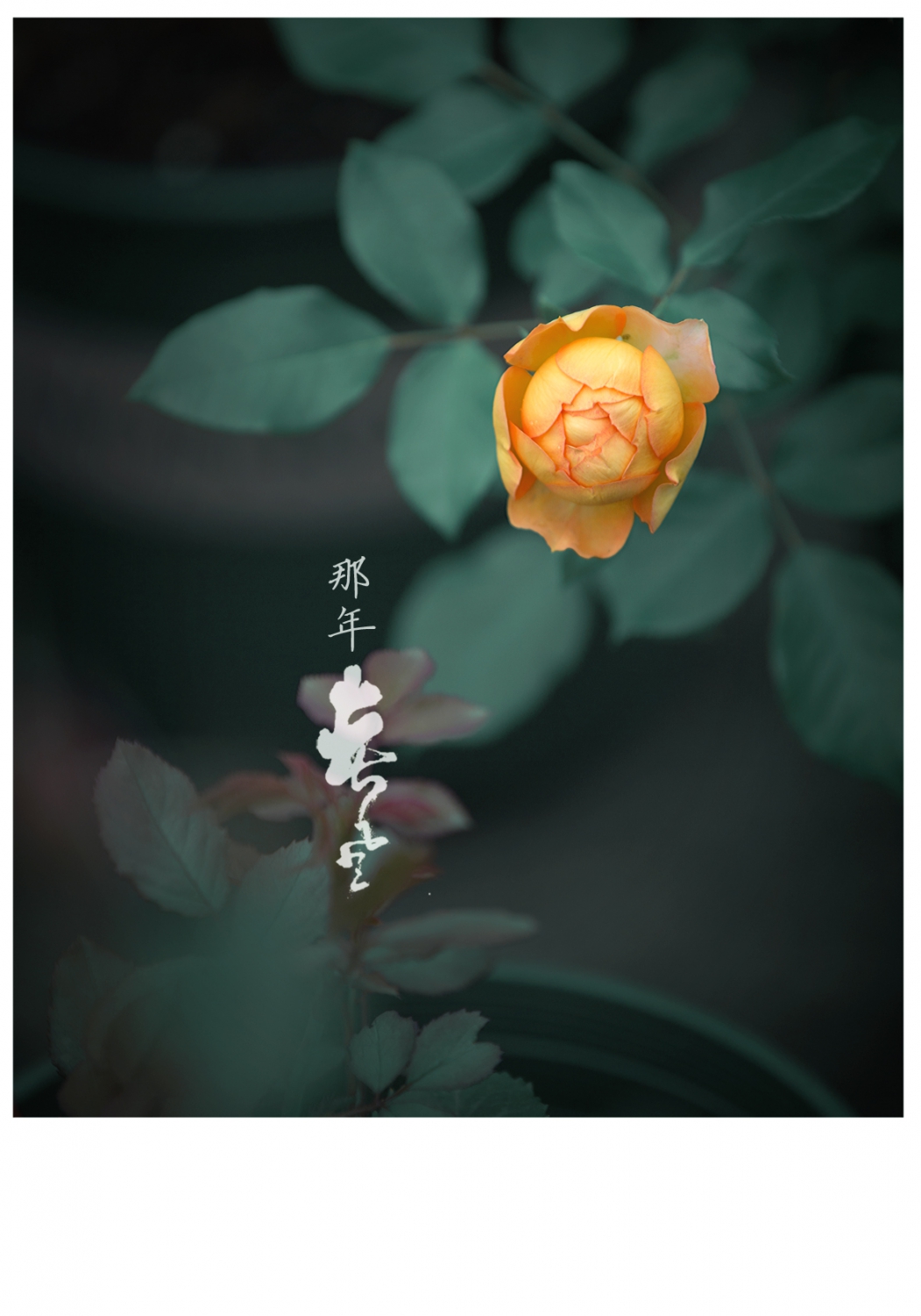无题