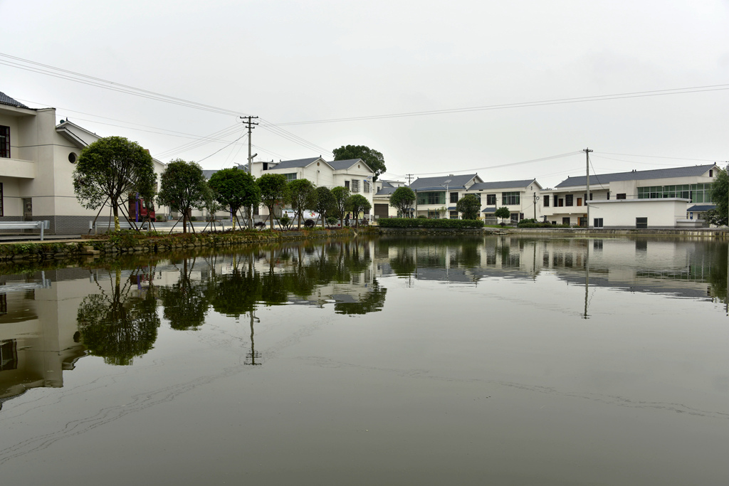 新农村3