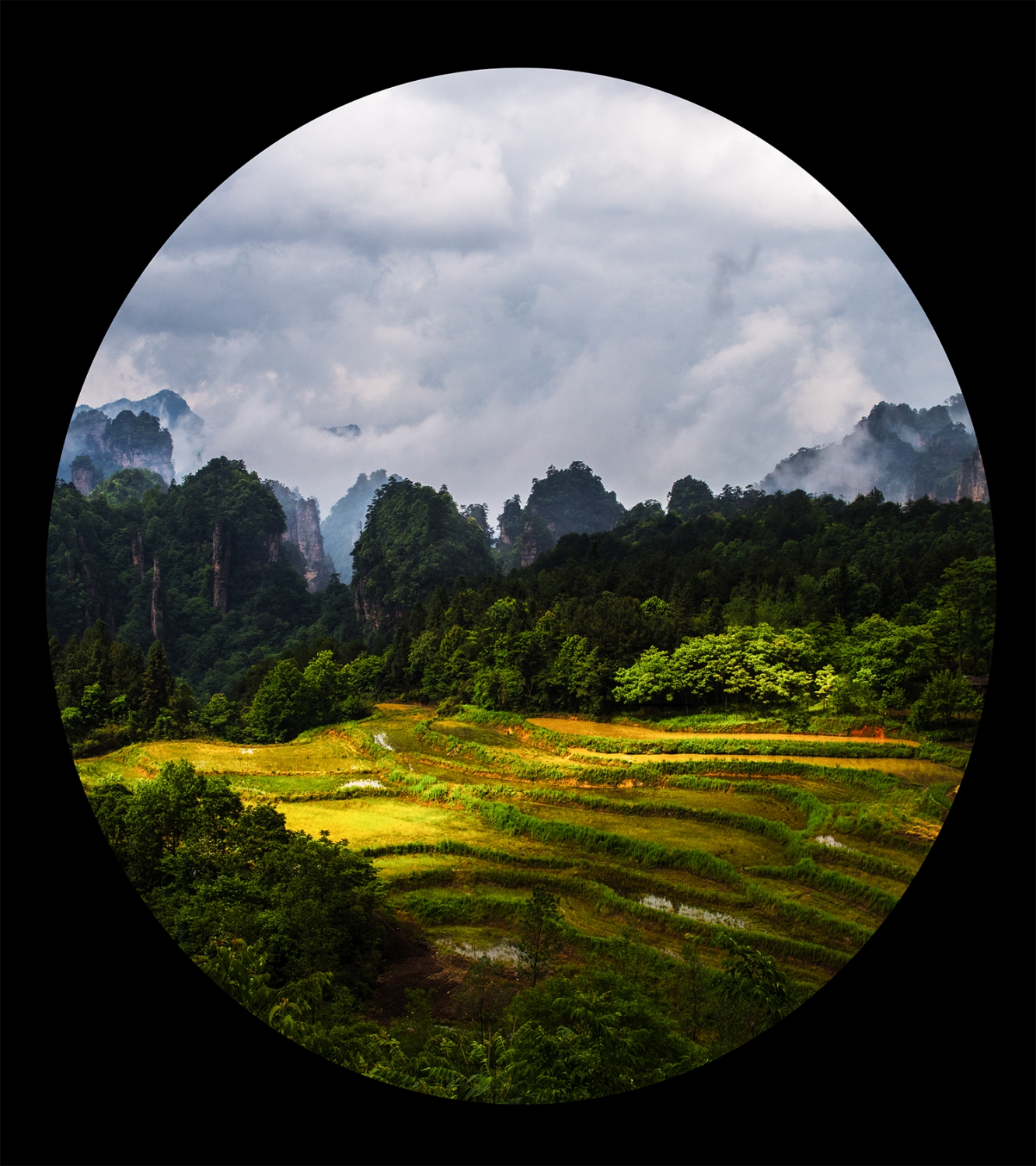 田园风光