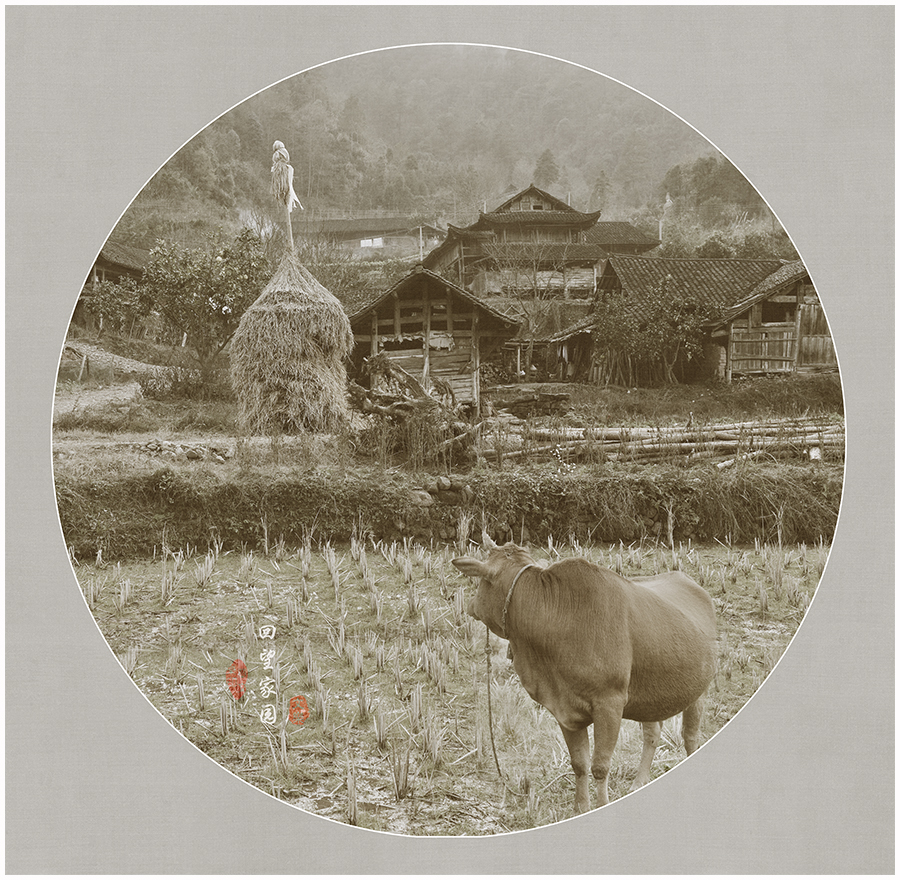 回望