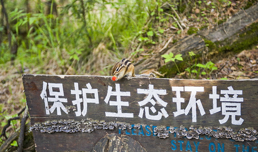 中心大事