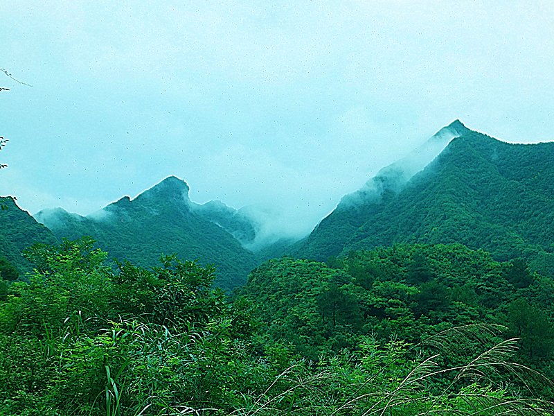 山美