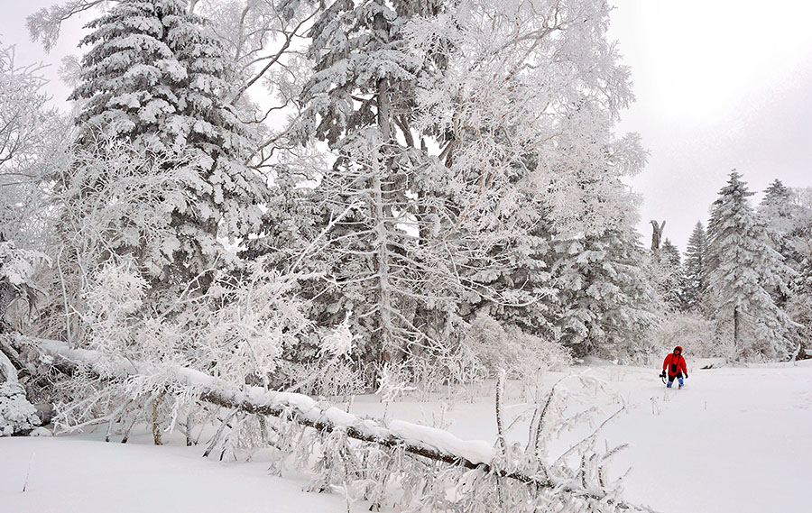雪岭印象