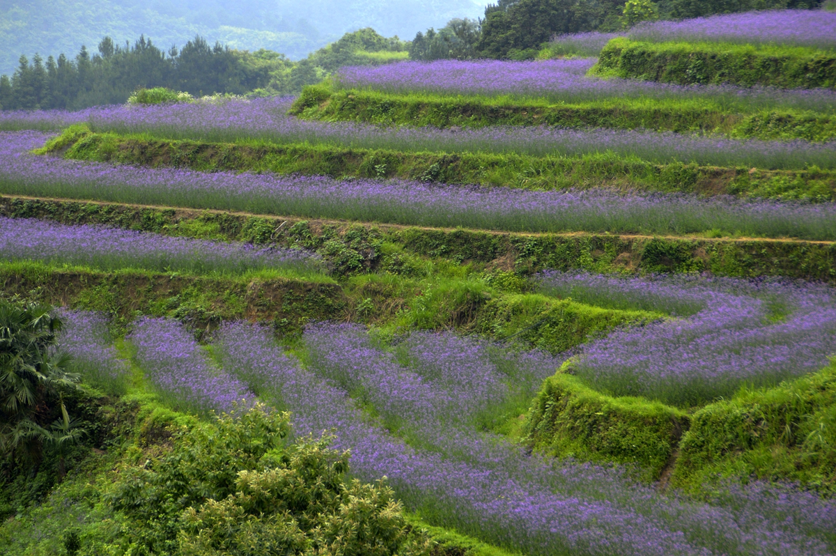 包公山风光