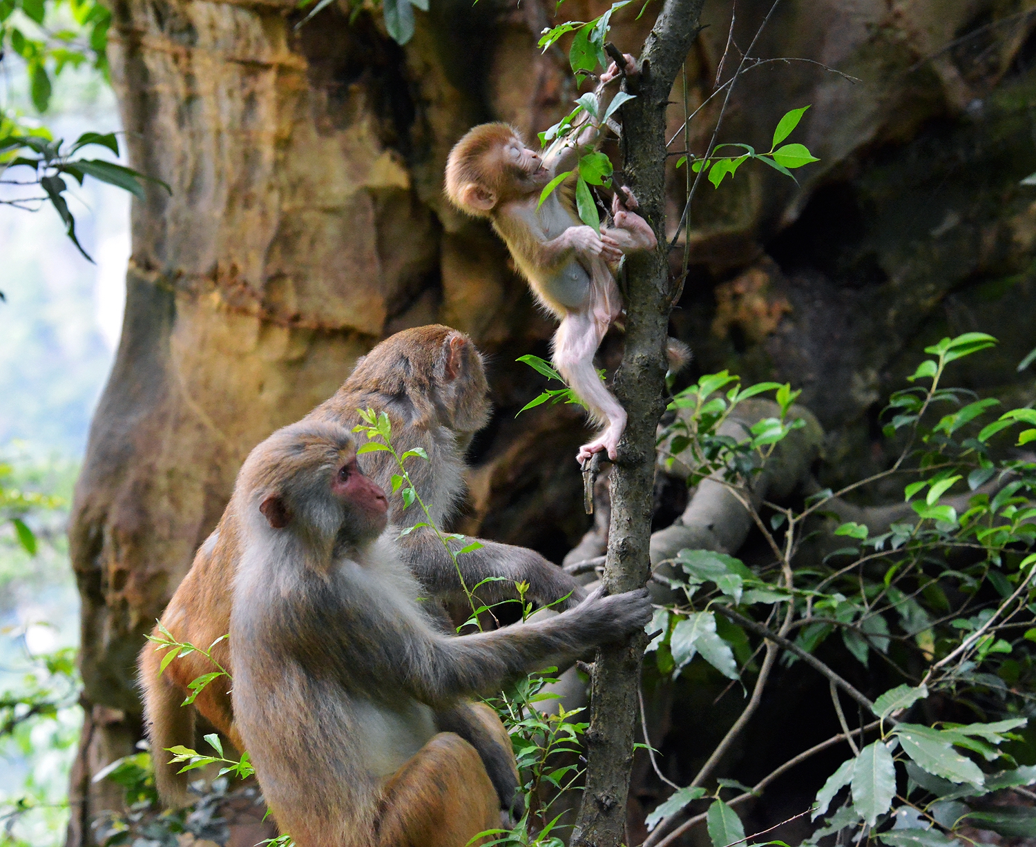 组照：《瞧这一家子》(图4)