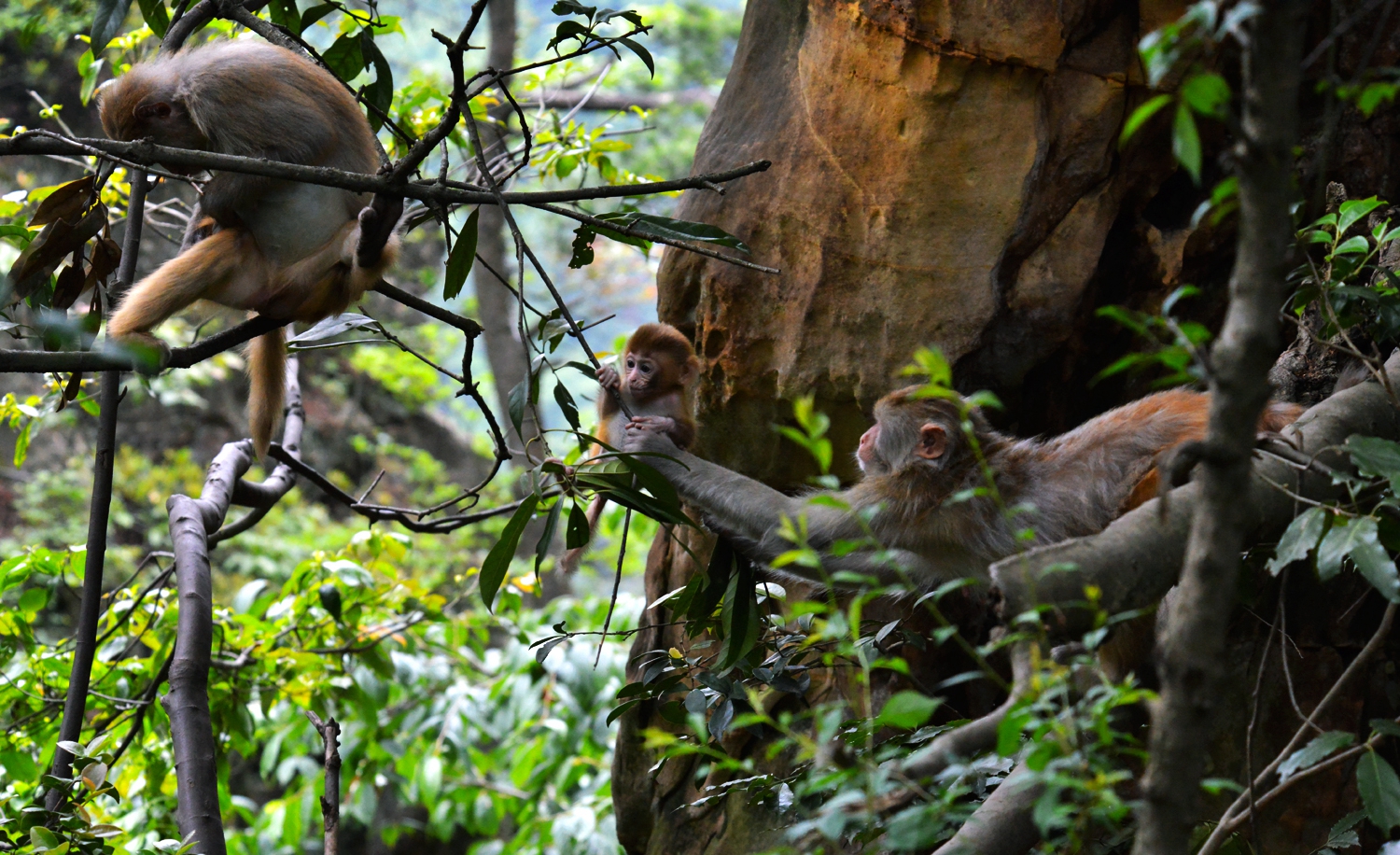 组照：《瞧这一家子》(图6)