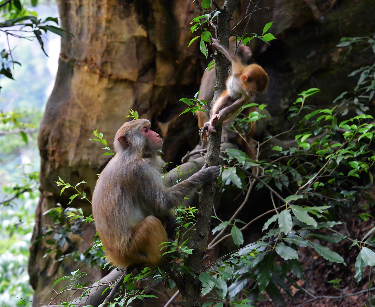 组照：《瞧这一家子》（图1）