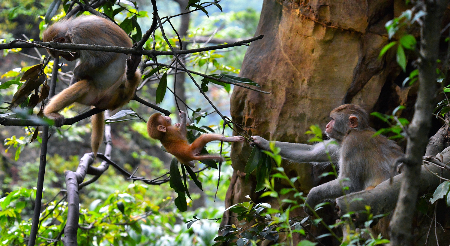 组照：《瞧这一家子》(图5)
