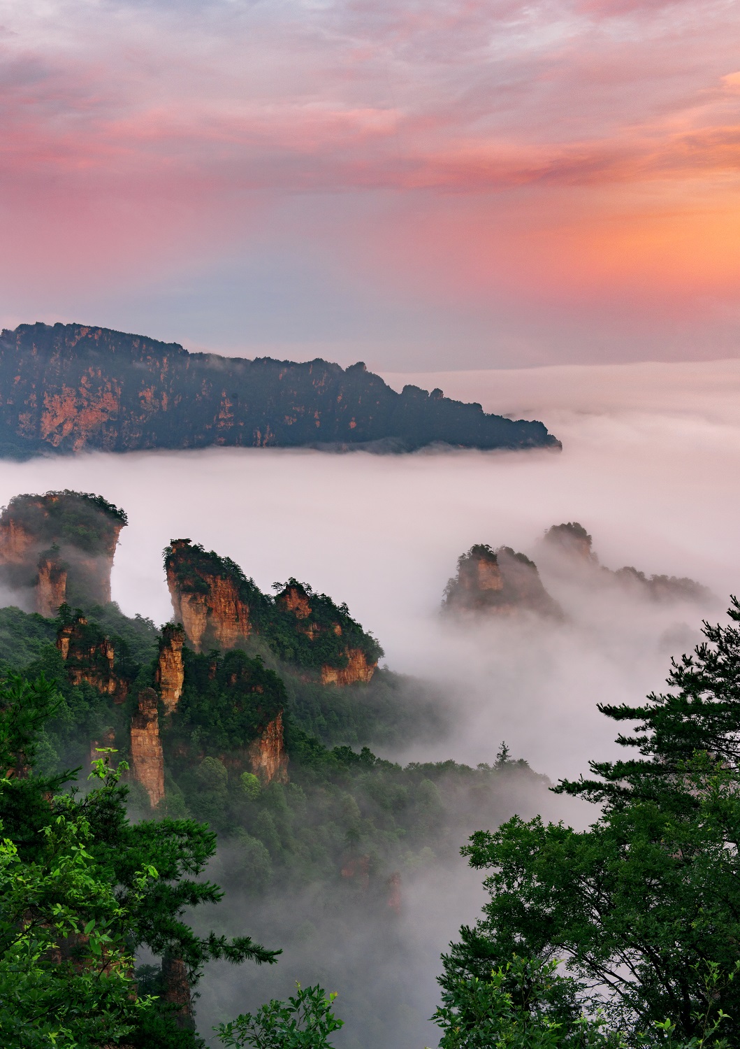 夕照青山红