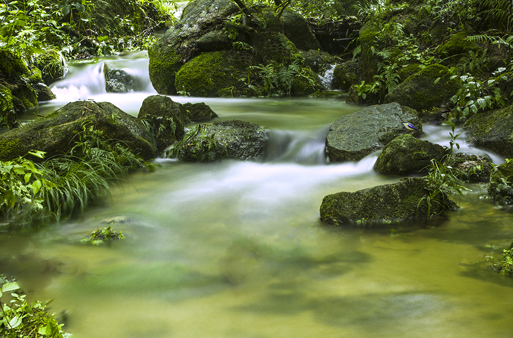 山涧小溪