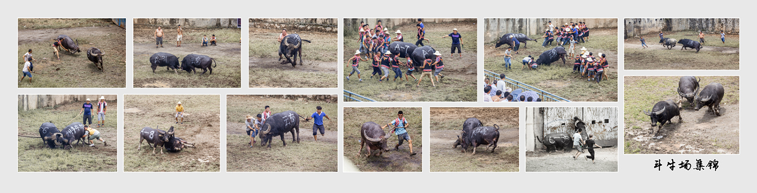 斗牛场集锦