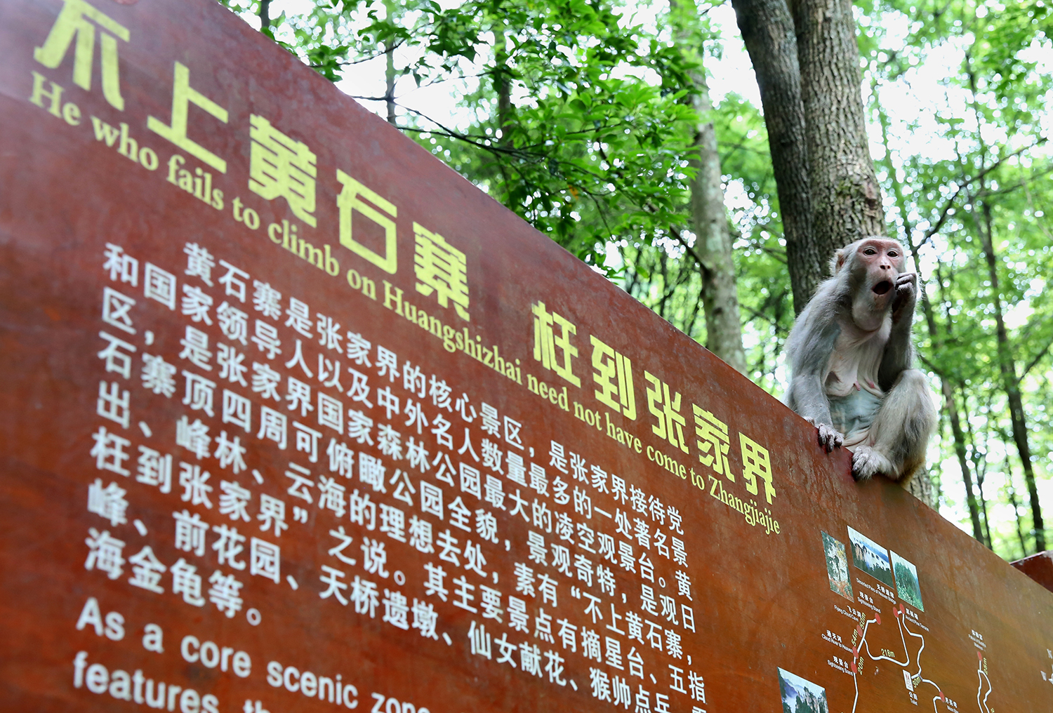 不上黄石寨枉到张家界