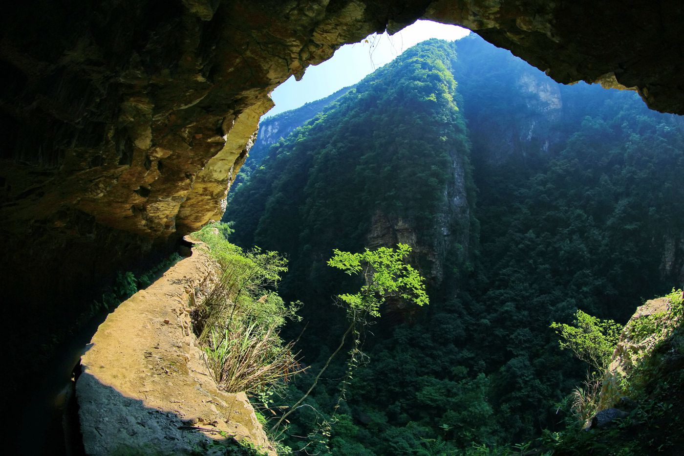 峡谷春色