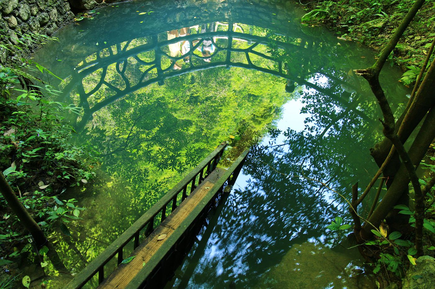 一池春水